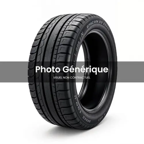Vente Flash PneuDOUBLE COIN DCO MAX 205/65R15 94 V